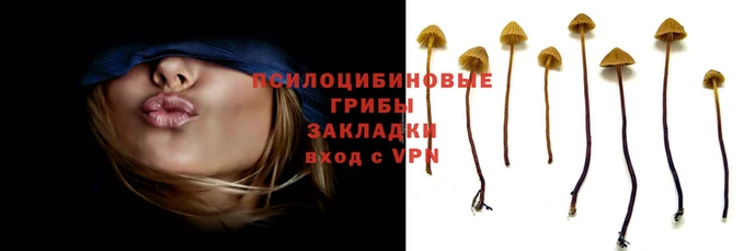 а пвп мука Нея