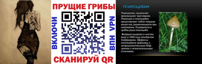 Псилоцибиновые грибы GOLDEN TEACHER  дарнет шоп  Поворино 